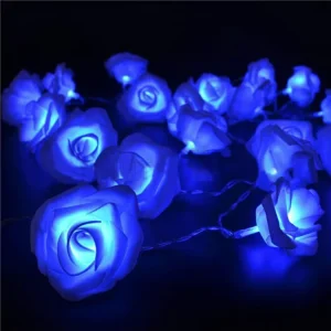 IP65 LED Light String for Wedding Party and Christmas Event Decorations 220V/110V 2700K Soft Warm White Holiday Lighting