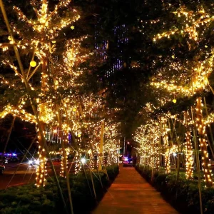 IP65 Waterproof Outdoor Warm White LED Cluster Lights for Christmas Holiday Festival Garden Patio Party Decor