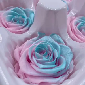 Ice Blue Gradient Preserved Rose with LED, Yunnan Manufacturer