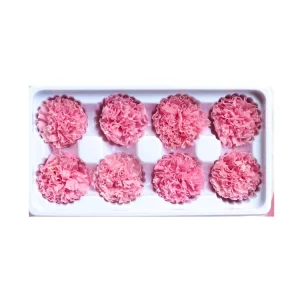 Immortal Carnation Gift Box DIY Bouquet