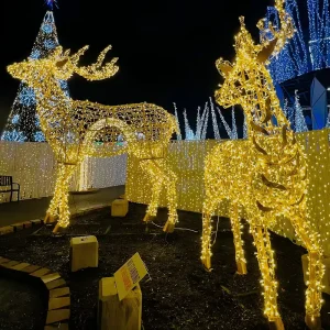 Islamic Holiday Lighting Decor Large Outdoor Display Lights Steel Frame Motif for Resort Holiday Motif