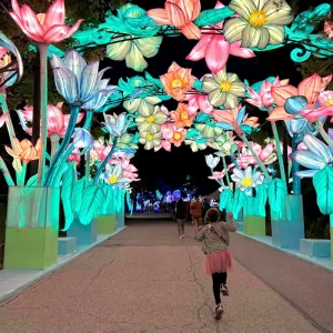 JN Zm24 Chinese Lanterns Festival Outdoor Light Customized Handcraft Silk Cloth Traditional Lanterns for Theme Park