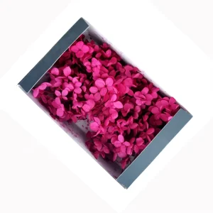 Kunming Fresh Cut Real Touch Bicolor Hydrangea Flower Valentine’s Day Decoration
