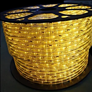 户外装饰照明 LED 绳灯 用于圣诞装饰