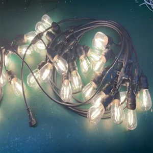 LED Belt Festoon Light IP65 Outdoor Festive Carnival Fairy Holiday Lights for Wedding Party S14
