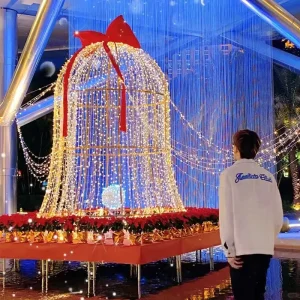 LED Extra Large Iron Tree Christmas Motif Across Street Lights City Commercial Xmas Decoration Outdoor 2D