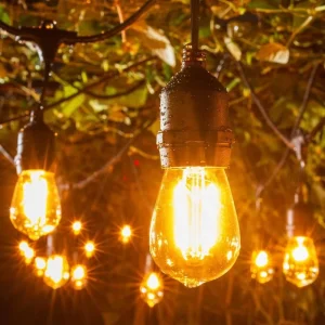 LED Festoon Lights for Indoor Outdoor Decoration IP65 Christmas Light G45 Decor Lights