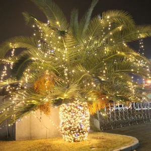 LED Flashing Christmas IP67 Waterproof String Lights Outdoor Tree Atmosphere Hanging Decorative Lights for Garden