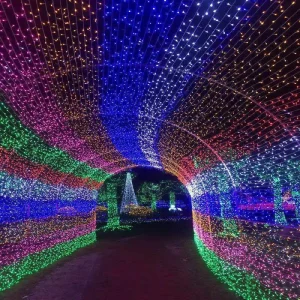 LED Lights Star Lights Festive Decorations Christmas Outdoor Project Lighting