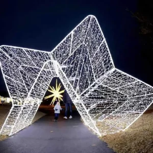 LED Star Light Christmas Festival 3D Giant Decorative Lighting for Shopping Malls
