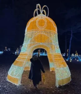 巨型LED树形铁艺装饰灯，适用于户外圣诞节、万圣节、花园、公园和夏季节日景观装饰 Yunyi