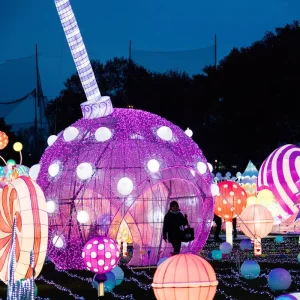 Large Giant Iron Tree Outdoor Waterproof Lanterns for Christmas Graduation Festival in Park and Garden