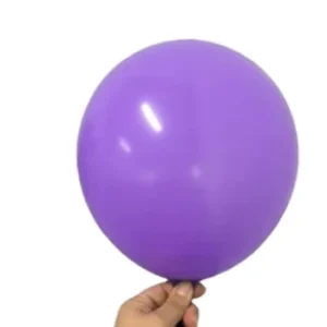 Latest 12 Inch 2.8g Matte Biodegradable Latex Balloon Happy Birthday Colored Balloons for Christmas and Easter Festivities