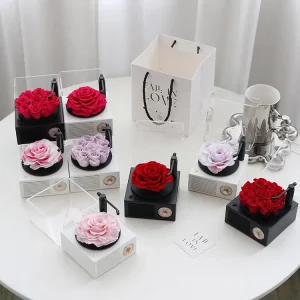 Luxury Angel Eternal Flower Preserved Rose Music Box Glass Cover Bluetooth Speaker Light Valentine’s Day Mother’s Day Christmas