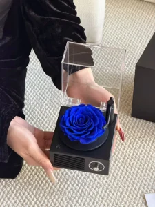 Luxury Bluetooth Acrylic Music Box for Graduation Christmas Thanksgiving Mother’s Day with Preserved Roses