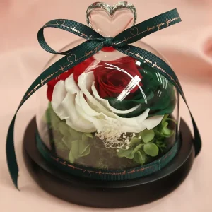 Luxury Stabilized Preserved Roses in Glass Dome for Valentine’s Day Decor