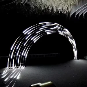 Luxury Wedding Decoration Lights Metal Wedding Arch Dried Flower Wall Arrangement Wedding Backdrop Arch