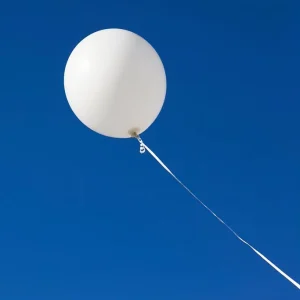 Manufacture Direct 10-inch 1g White Balloons
