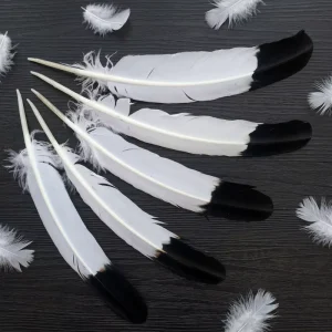 Manufacturer 2-Tone Color Turkey Wing Feathers Decoration DIY Craft Turkey Quill Plumes Carnival Millinery