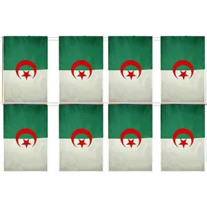 Manufacturer Direct Polyester Algeria Country Algerian Bunting String Flag Banner with Fade Resistant Premium Quality for Events