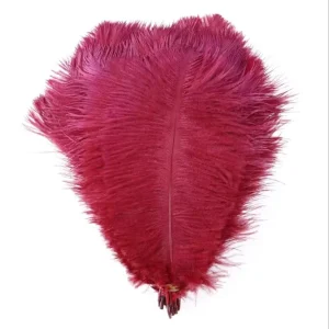 Manufacturer Directly Supplies 20-25cm Dyed Ostrich Feathers for Stage Decoration Carnival Party Accessories Customizable