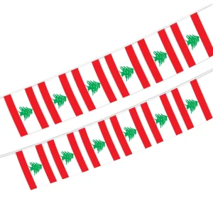 Manufacturers Direct Sales 14*21cm Polyester Lebanon String Flags with Digital Printing for Fans Holiday Decoration