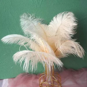 Mardi Gras Festival Carnival Party 20-25 cm Ostrich Feather Wedding Background Wall Decoration