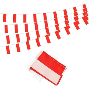 Mini Poland Polish Small String Flag Bunting Banner Decorations Pennant Flag