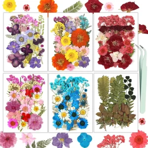 Mixed Natural Dried Pressed Flowers Kit Real Colorful Flat Dry Flower For Epoxy Resin Coaster Bookmark Phone Case DIY Craft