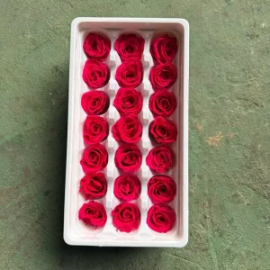Molly Garden C Grade 21 24 Heads Box Preserved Dried Rose 2 3cm Yunnan Origin Mother’s Day Valentine’s Day Thanksgiving