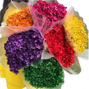 Most Popular Preserved Hydrangea Flower Home Decoration April Fool’s Day Factory Price Long Lasting 3 5 Years