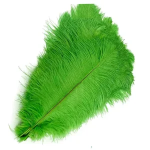 Multi Colors Dyed Ostrich Feathers 18 20 Inch for Samba Carnival Stage Costume Vase Decoration
