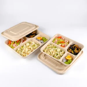 Natural Bio based Sugarcane Bagasse Sugarcane Juice Food Containers Biodegradable Tableware Fast Food Plates
