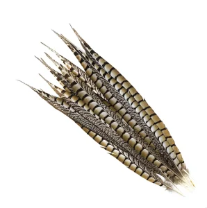 Natural Brown Plumas Long Tail Artificial Pheasant Feather for Party Carnival Home Wedding Vase Holiday Decor DIY Craft Costume