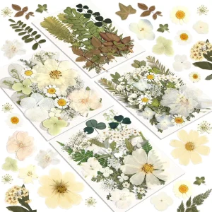 Natural Dried Pressed Flowers Foliage Kit Assorted Green Leaves For Handmade Soap Candle Resin Decor Dried Pressed Flowers
