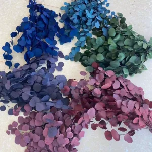 Natural Flowers Preserved Symphony Apple Eucalyptus Leaves