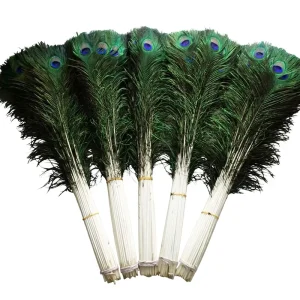 Natural Peacock Tail Feathers 20-30cm for Carnival Dance Performance Costume Decoration