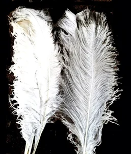 Natural Plume Ostrich Feathers for Party Carnival Home Wedding Centerpiece Christmas Vase Holiday Decor DIY Craft Floral