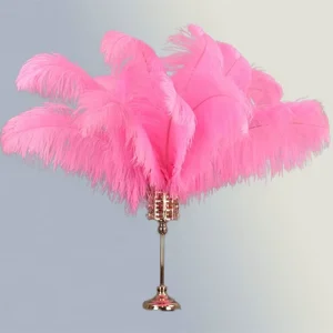 Natural Plume Ostrich Feathers for Party Carnival Home Wedding Centerpiece Xmas Vase Holiday Decor DIY Craft Floral