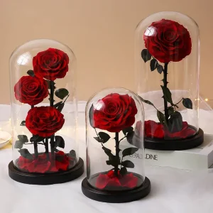 Natural Rose Mothers Day Gift Decor Everlasting Forever Eternal Rose Preserved Flower in Glass Dome Led