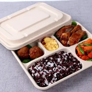 Natural Sugarcane Residue Food Containers Biodegradable One time Sugarcane Residue Tableware Set