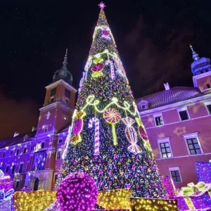 New Design Giant Outdoor Led Christmas Tree Decoration Lights for Park & Plaza