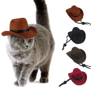 New Nonwoven Fabric Pet Costume Hat Cosplay Accessory Leisure Style for Cats and Dogs All Seasons