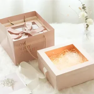 New Transparent Design Paper Gift Boxes Gift Bags Packaging for Holiday Gifts