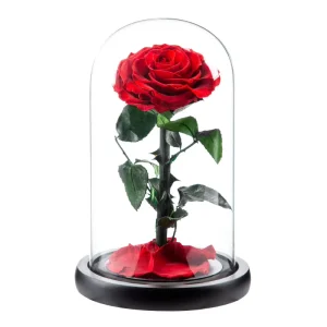 OEM Eternal Roses Flower in Glass Dome Valentine Day Gifts Preserved Rose