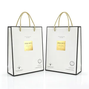 OEM Logo Printing Paper Gift Bag with Gold Foil Stamping Hick Rope Handle Shopping Paper Bag
