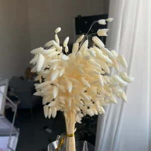 One-Stop Factory Natural Real Brizia Flower Material Preserved Quaking Grass Cocoon Grass for Wedding Home Decor