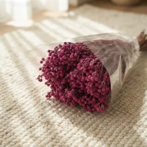 One Stop Factory Supplies Natural Preserved Coral Fruits for Home Decoration Bouquet DIY & Wedding Arrangement