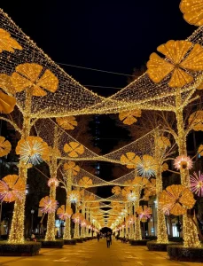 Outdoor 2D LED Extra Large Tree Christmas Motif Iron Street Lights for City Commercial Graduation Diwali Xmas Decoration