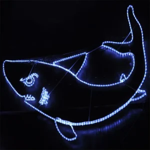 Outdoor Christmas 2D Fish Motif Lights